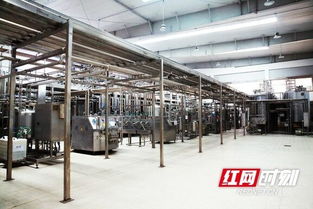 優(yōu)氏乳業(yè) 以“寧鄉(xiāng)智造”技術服務，助力國家學生飲用奶計劃，引領健康食品產(chǎn)業(yè)創(chuàng)新